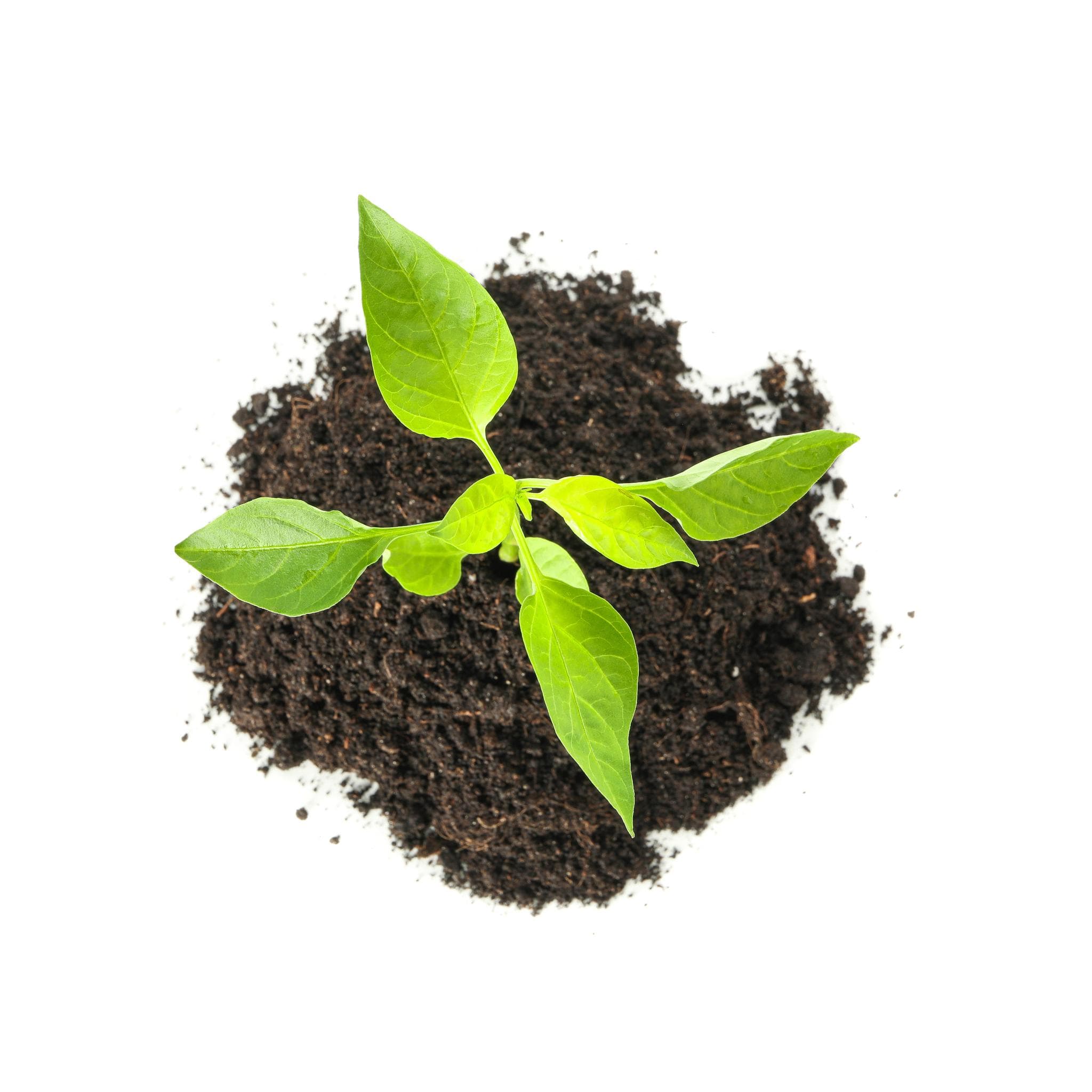 Fertilizer